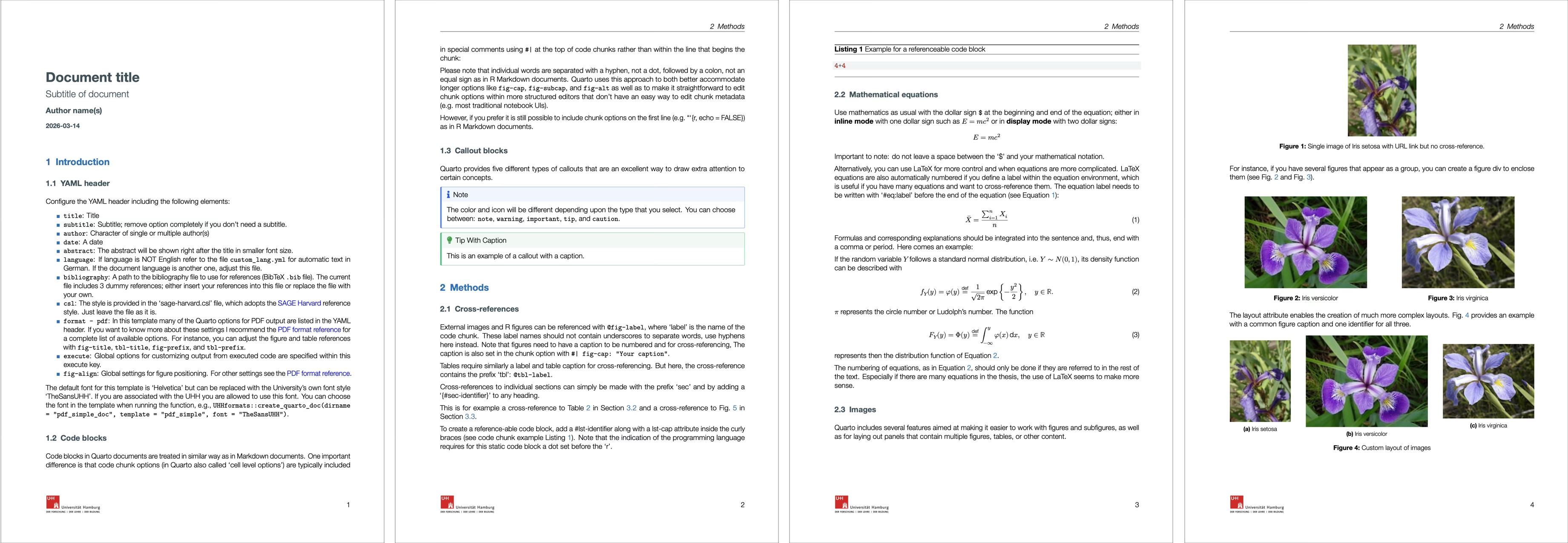 Quarto pdf_doc template screenshot