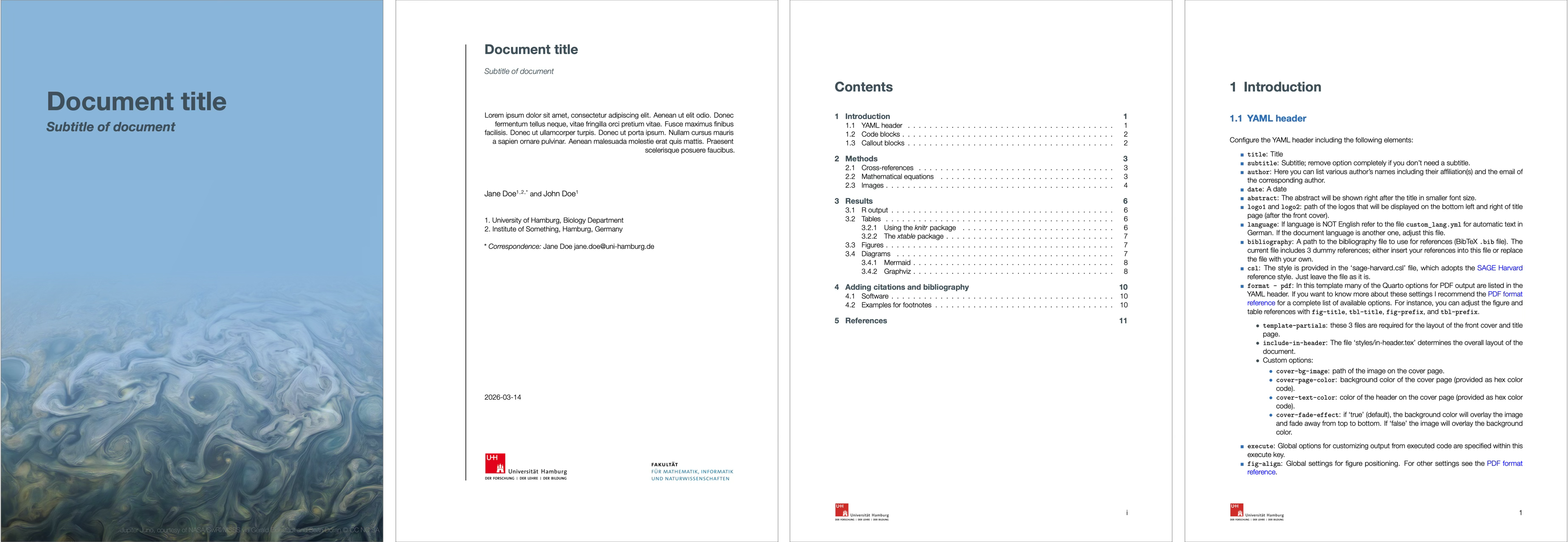 Quarto pdf_report template screenshot