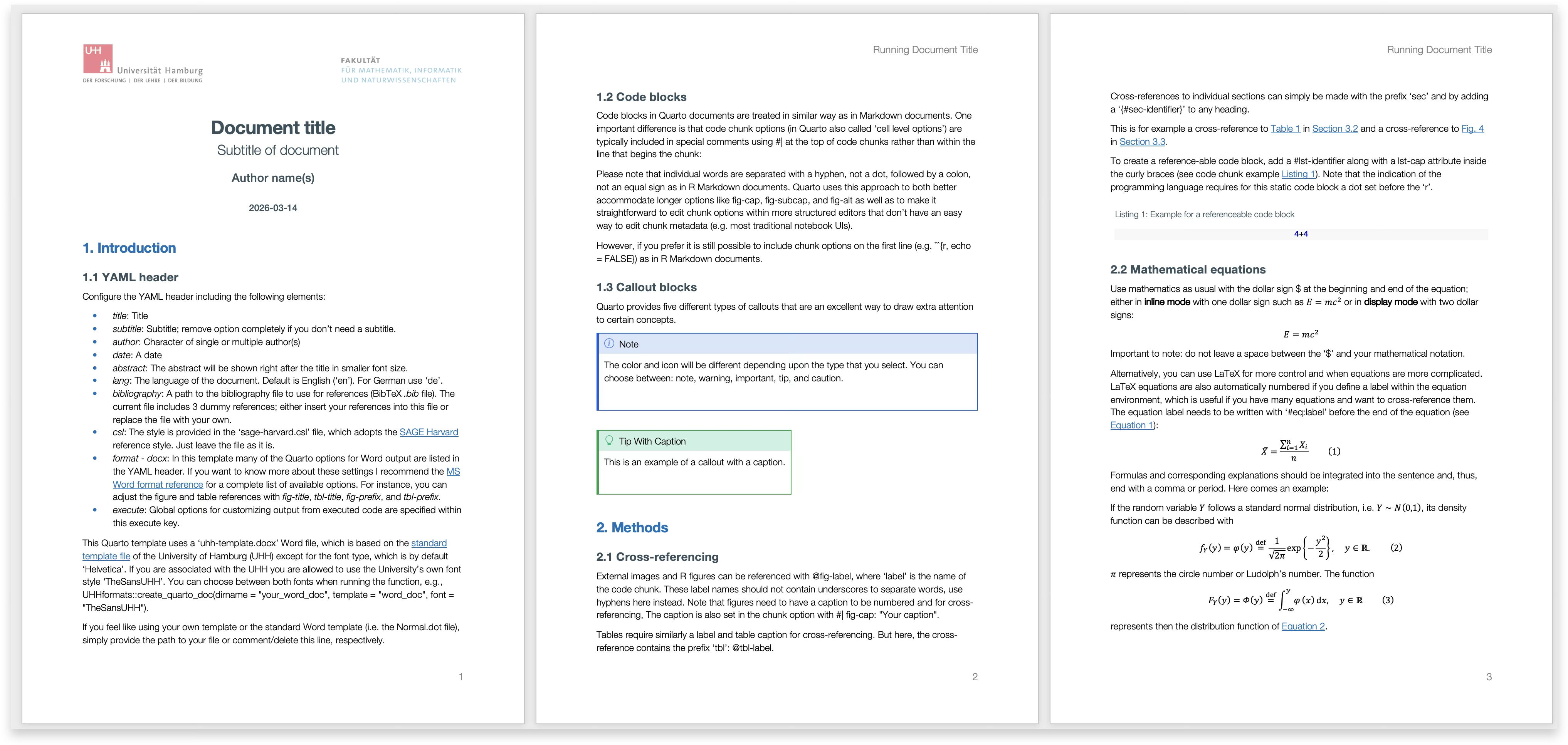Quarto word_doc template screenshot