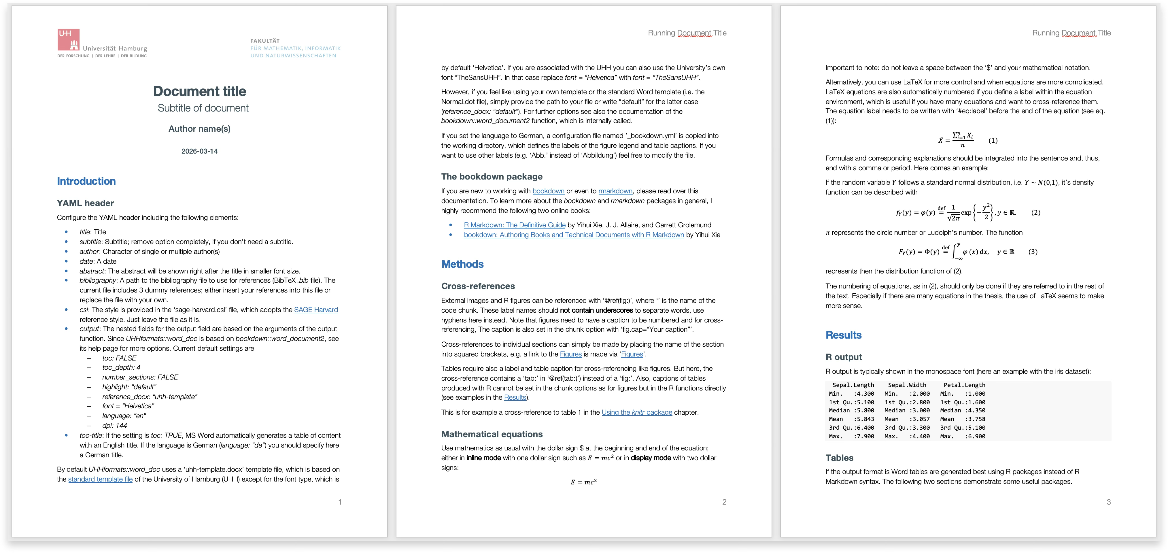 word_doc template screenshot