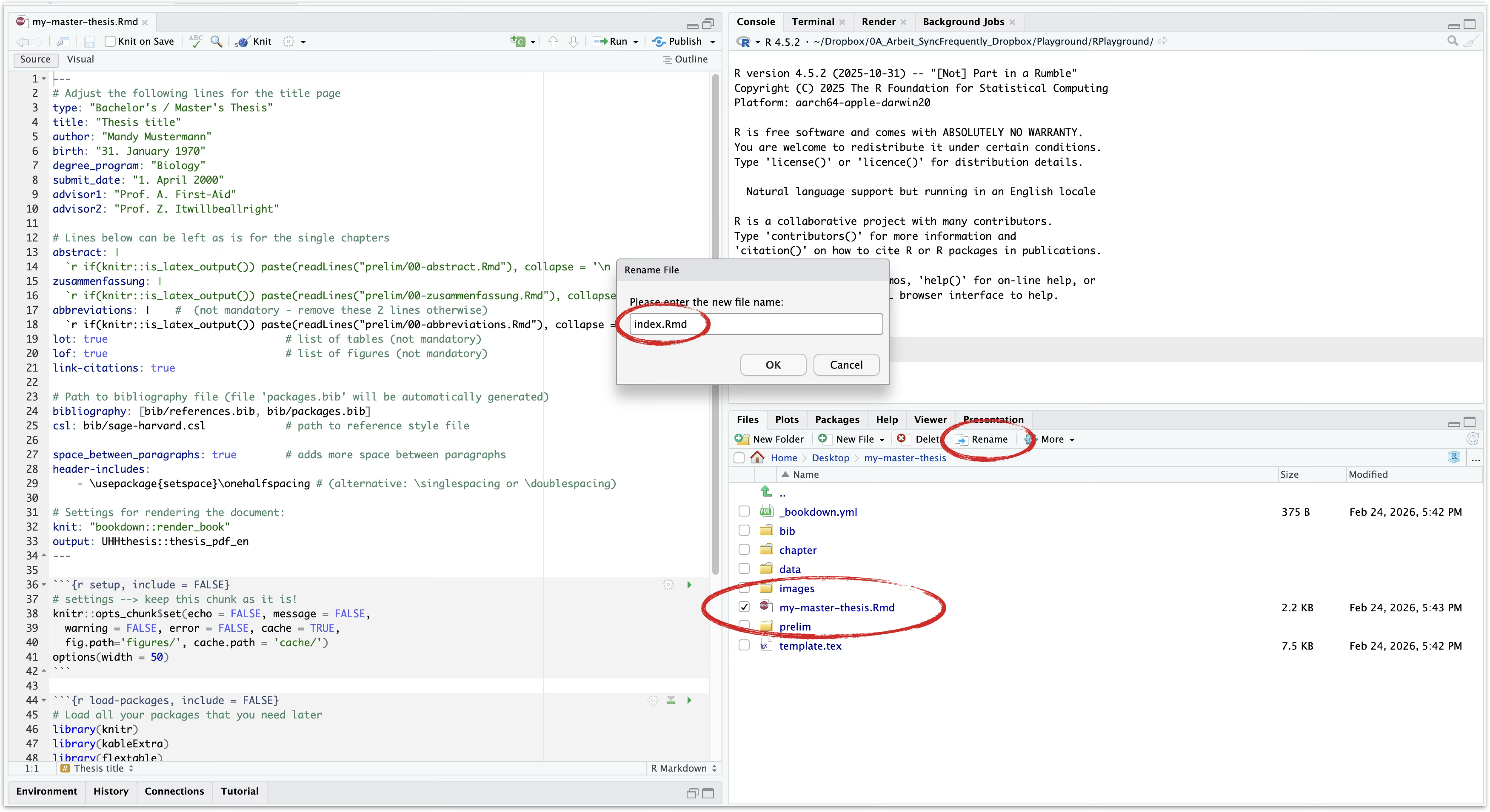 Renaming skeleton.Rmd to index.Rmd in the RStudio Files pane